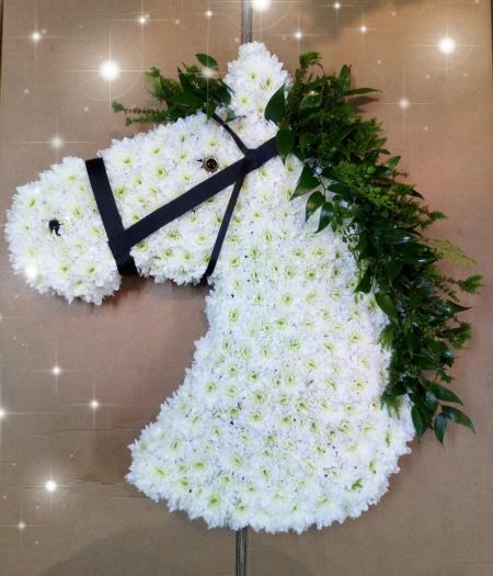 Horse Head Funeral Tribute